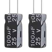 100µF Capacitor