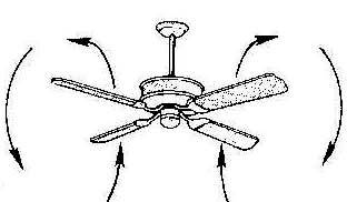 Ceiling Fan Forward Or Reverse Running Earth Bondhon